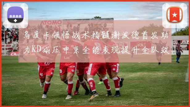 乌度卡领悟战术精髓谢泼德首发助力KD减压申京全能表现提升全队效率
